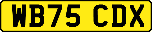 WB75CDX