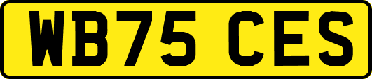 WB75CES