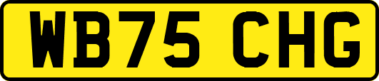 WB75CHG