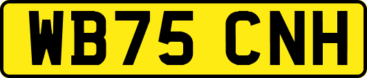 WB75CNH
