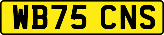 WB75CNS