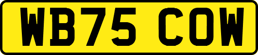 WB75COW