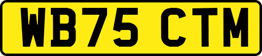 WB75CTM