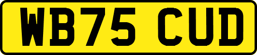 WB75CUD