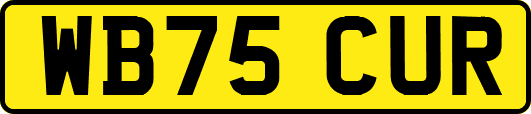 WB75CUR