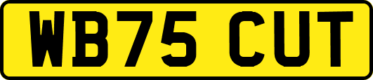 WB75CUT