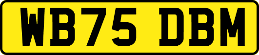 WB75DBM