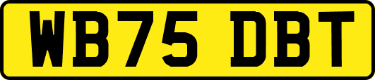 WB75DBT