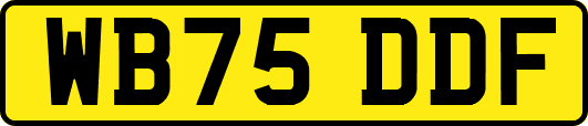 WB75DDF
