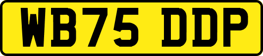 WB75DDP