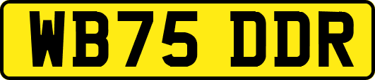 WB75DDR