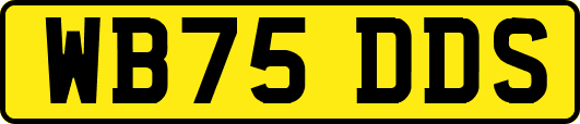 WB75DDS