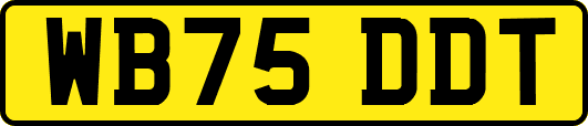 WB75DDT