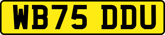 WB75DDU