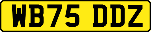 WB75DDZ