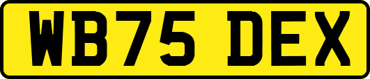 WB75DEX
