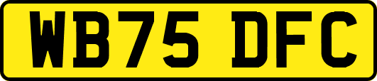 WB75DFC