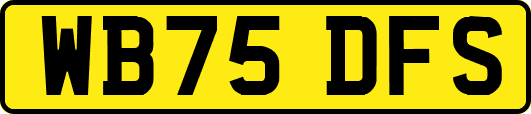WB75DFS