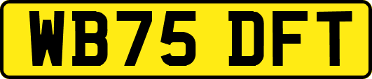 WB75DFT
