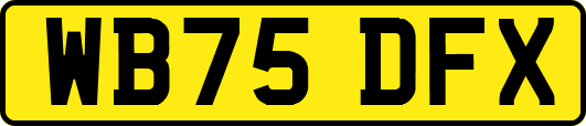 WB75DFX