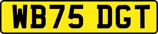 WB75DGT