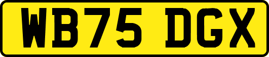 WB75DGX