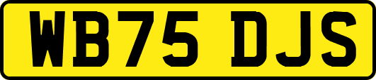 WB75DJS