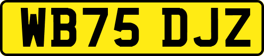 WB75DJZ
