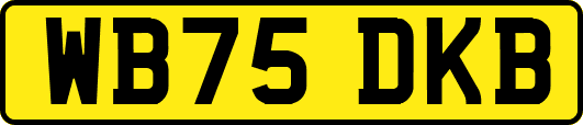 WB75DKB