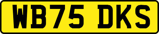 WB75DKS