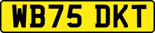 WB75DKT