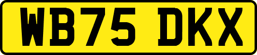 WB75DKX