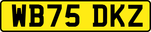 WB75DKZ