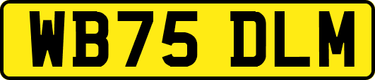 WB75DLM
