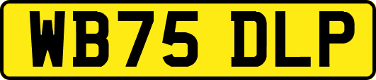 WB75DLP