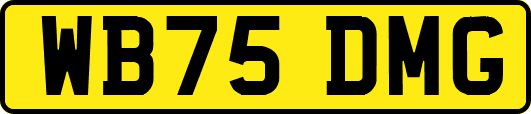 WB75DMG