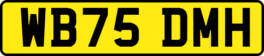 WB75DMH