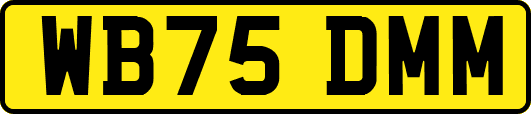 WB75DMM