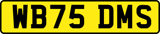 WB75DMS