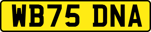 WB75DNA