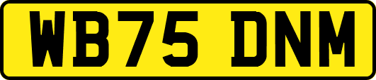 WB75DNM