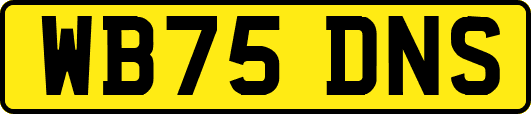 WB75DNS