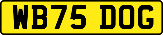 WB75DOG