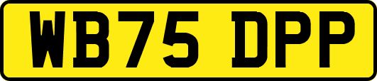 WB75DPP