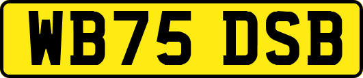 WB75DSB