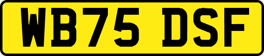 WB75DSF
