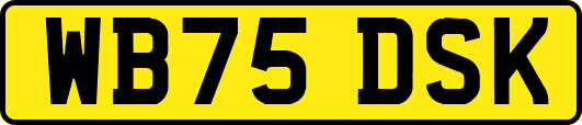 WB75DSK