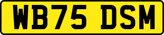 WB75DSM