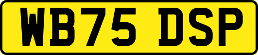 WB75DSP
