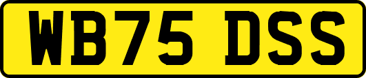 WB75DSS